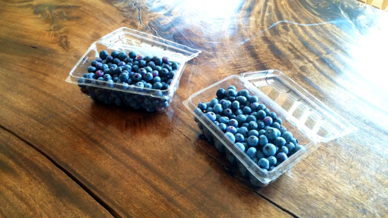 Blueberries Are In