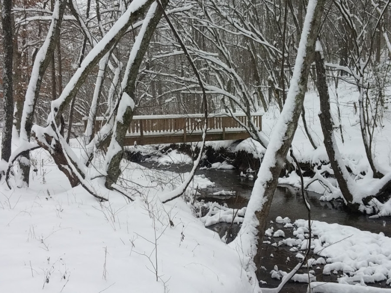 Snow Pics2