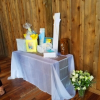 patio wedding 4