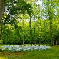 Wedding in the Woods
