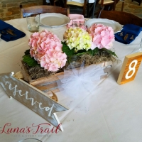 Wedding in the Woods