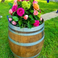 Wedding in the Woods