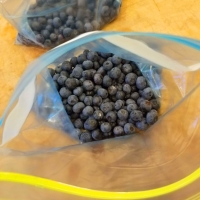 Blueberries