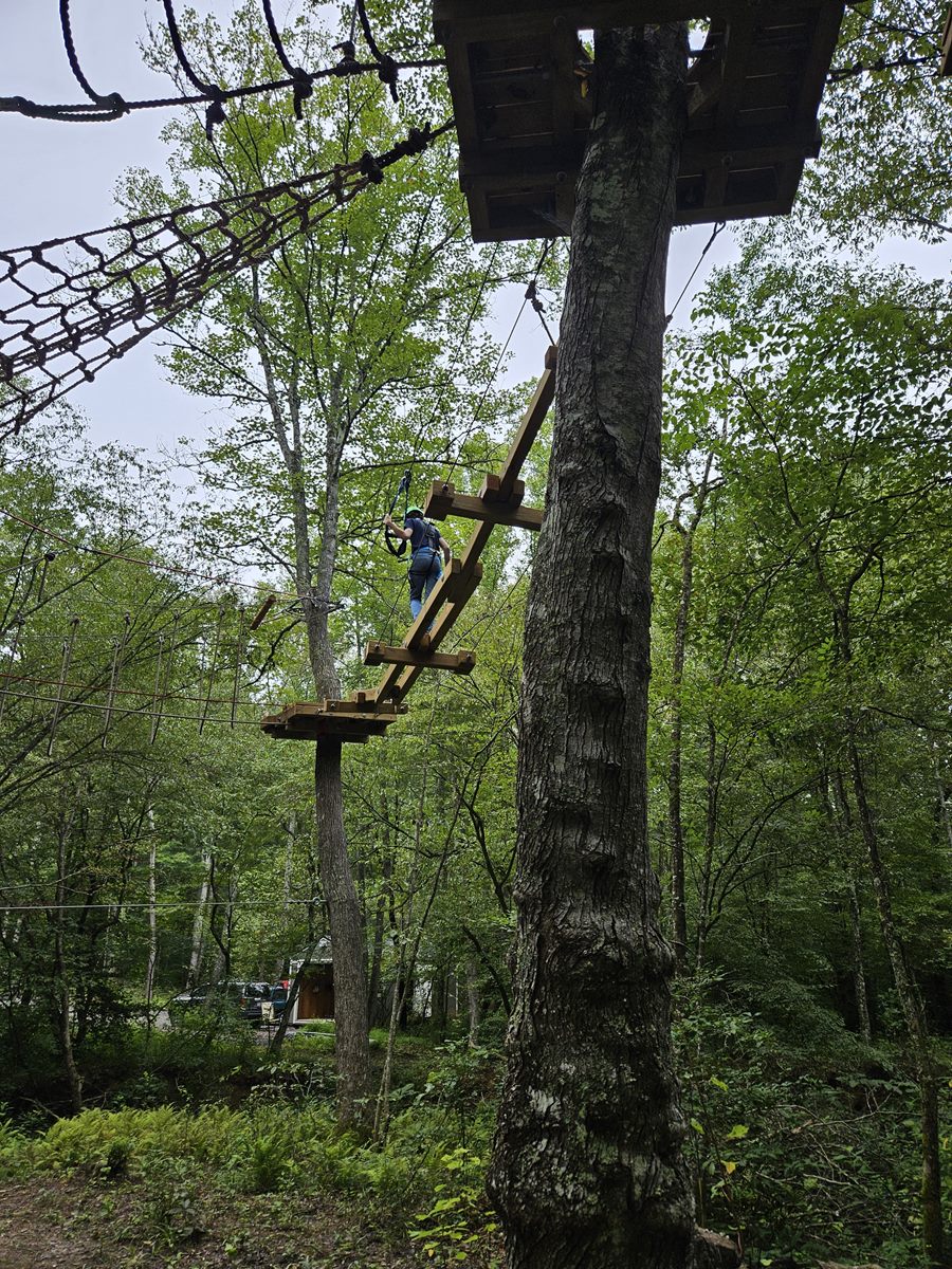 aerial ropes course