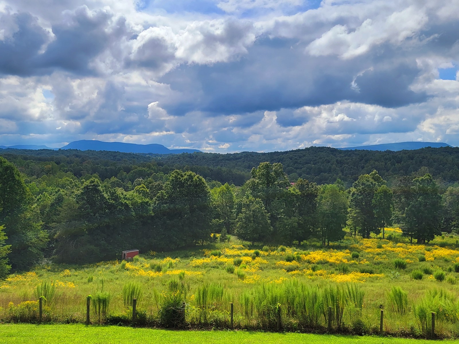 free hiking at lunas trail