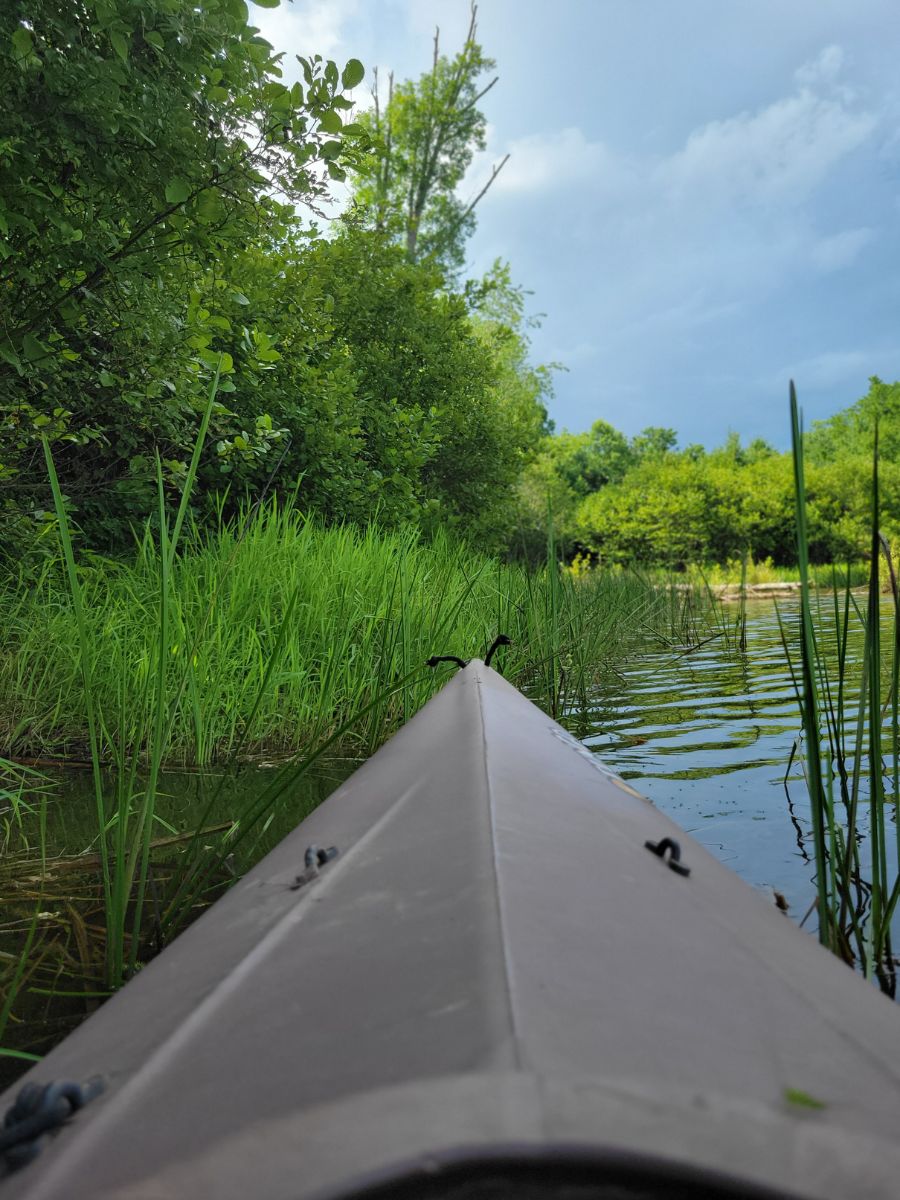 rent a canoe in surry county nc